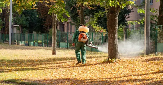 Spraying insecticide to prevent mosquitoes